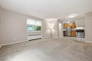 82-75 Langdale St, New Hyde Park, NY 11040 - Photo 11