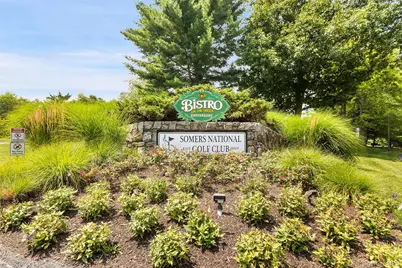 461A Heritage Hills, Somers, NY 10589 - Photo 23