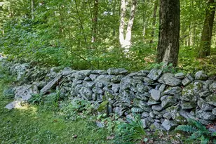 10 Dickman Farm Rd, Red Hook, NY 12571 - Photo 13