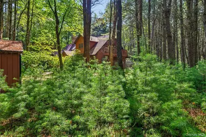 111 Deer Meadow Road, White Lake, NY 12786 - Photo 5