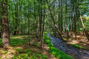 111 Deer Meadow Rd, White Lake, NY 12786 - Photo 3