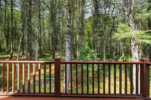 111 Deer Meadow Rd, White Lake, NY 12786 - Photo 31