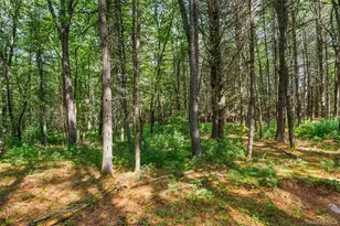 111 Deer Meadow Rd, White Lake, NY 12786 - Photo 49