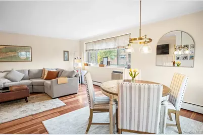 101 Clinton Avenue #1L, Mineola, NY 11501 - Photo 9