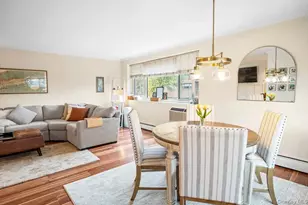 101 Clinton Ave, Mineola, NY 11501 - Photo 9