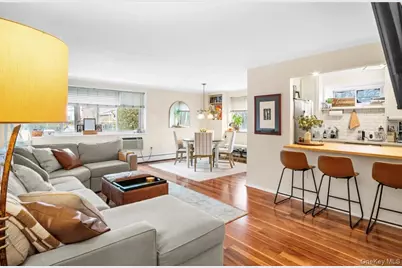 101 Clinton Avenue #1L, Mineola, NY 11501 - Photo 5