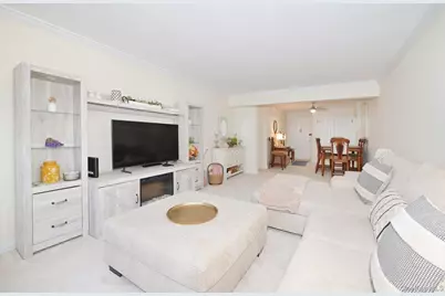 4 Birchwood Court #1O, Mineola, NY 11501 - Photo 1