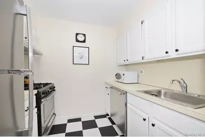 4 Birchwood Court #1O, Mineola, NY 11501 - Photo 9