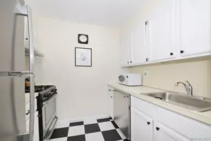 4 Birchwood Ct, Mineola, NY 11501 - Photo 9