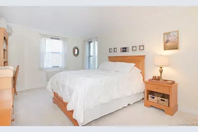 4 Birchwood Court #1O, Mineola, NY 11501 - Photo 11