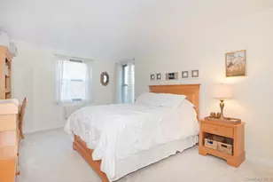4 Birchwood Ct, Mineola, NY 11501 - Photo 11