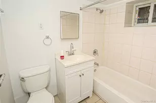 221 Howard Ave, Brooklyn, NY 11233 - Photo 19