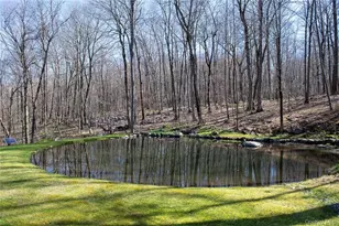 892 Duell Rd, Stanford, NY 12581 - Photo 29