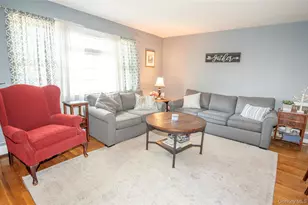 67 Iris Ave, Floral Park, NY 11001 - Photo 3