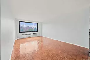 185 Hall St, Brooklyn, NY 11205 - Photo 9