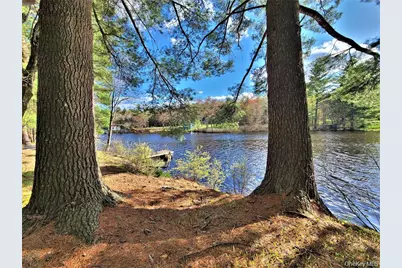 25 George Segar Road, Swan Lake, NY 12783 - Photo 37