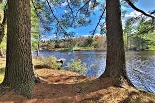 25 George Segar Rd, Swan Lake, NY 12783 - Photo 37