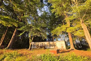 25 George Segar Rd, Swan Lake, NY 12783 - Photo 7