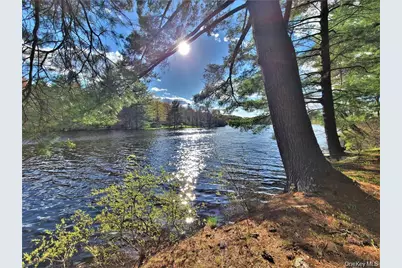 25 George Segar Road, Swan Lake, NY 12783 - Photo 35