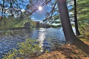 25 George Segar Rd, Swan Lake, NY 12783 - Photo 35