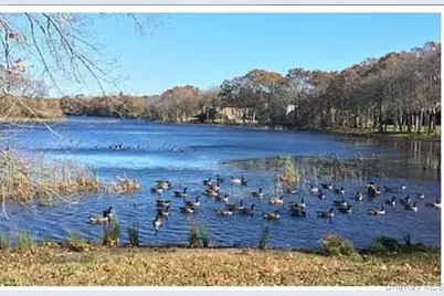 214 Artist Lake Drive, Middle Island, NY 11953 - Photo 11