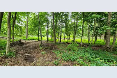 40 Darraugh Lane, Sparrow Bush, NY 12780 - Photo 11