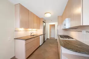 25 Chapel Pl, Great Neck, NY 11021 - Photo 13