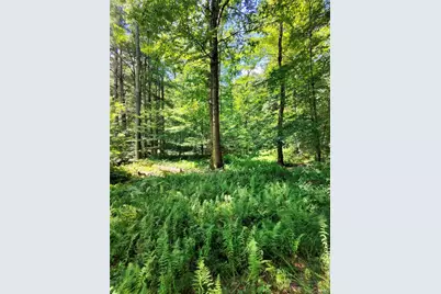 2735 Denning Road, Claryville, NY 12725 - Photo 49