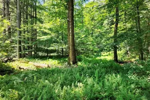 2735 Denning Rd, Claryville, NY 12725 - Photo 49