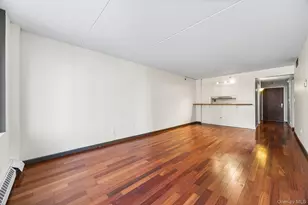 4 Martine Ave, White Plains, NY 10606 - Photo 7