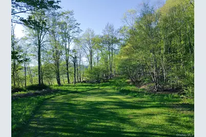 2182 Old Road 17, Roscoe, NY 12776 - Photo 27