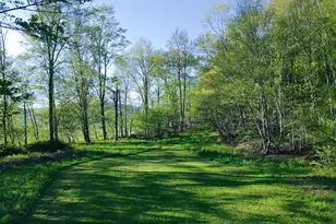 2182 Old Road 17, Roscoe, NY 12776 - Photo 27