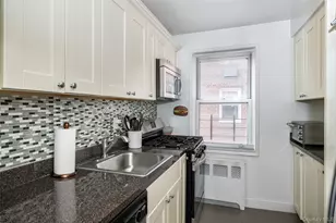 60 Locust Ave, New Rochelle, NY 10801 - Photo 17