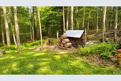 3 Rennison Road, Grahamsville, NY 12740 - Photo 19