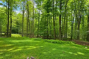 3 Rennison Rd, Grahamsville, NY 12740 - Photo 27