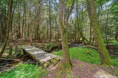 62 Laird Road, Swan Lake, NY 12783 - Photo 43