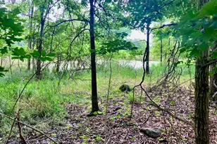 36 Carpenter Rd, New Hampton, NY 10958 - Photo 43
