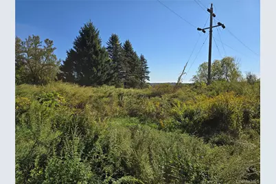 171 Winterton Road, Bloomingburg, NY 12721 - Photo 1