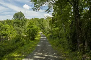 195 Mohonk Rd, High Falls, NY 12440 - Photo 47