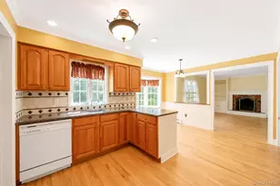 18 Elkin Dr, Middle Island, NY 11953 - Photo 11