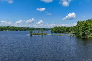 30 Beach, Glen Spey, NY 12737 - Photo 33