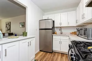 25 Franklin Ave, White Plains, NY 10601 - Photo 9