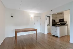 205 Mineola Blvd, Mineola, NY 11501 - Photo 7