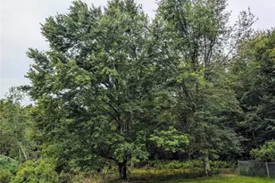 77 Murphy Rd, Swan Lake, NY 12783 - Photo 25
