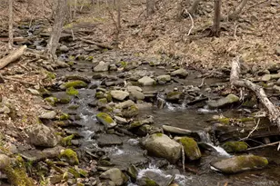 535 Mink Hollow Rd, Woodstock, NY 12498 - Photo 27