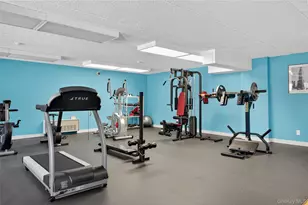 175 Maple Ave, Westbury, NY 11590 - Photo 29