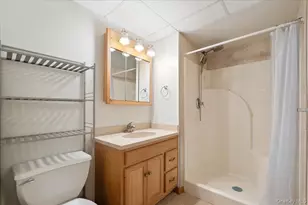 272 Brewster Hill Rd, Brewster, NY 10509 - Photo 13