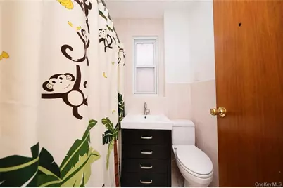 1130 58th Street, Brooklyn, NY 11219 - Photo 21