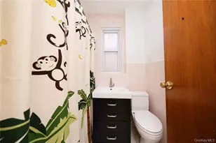 1130 58th St, Brooklyn, NY 11219 - Photo 21