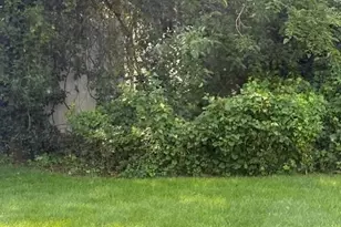49 Murray Dr, Oceanside, NY 11572 - Photo 15